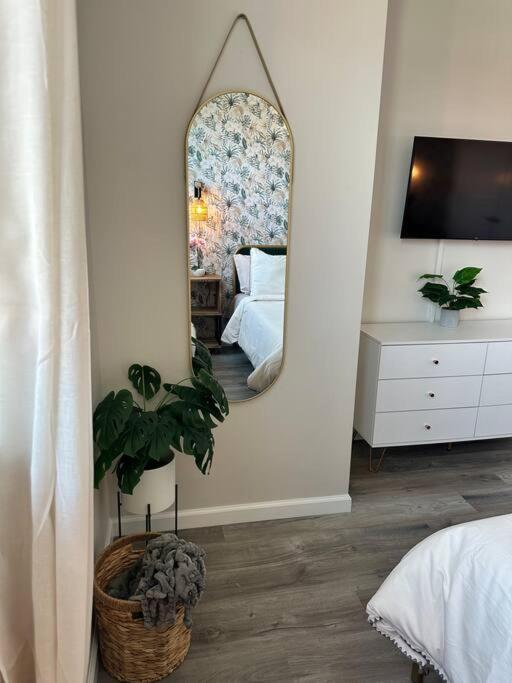 Home Haven, Walk To Little Italy & Wooster Square New Haven Eksteriør bilde