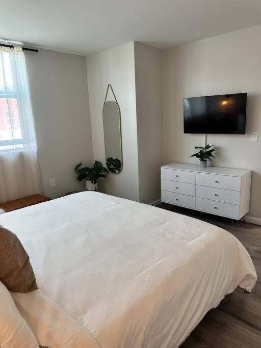 Home Haven, Walk To Little Italy & Wooster Square New Haven Eksteriør bilde