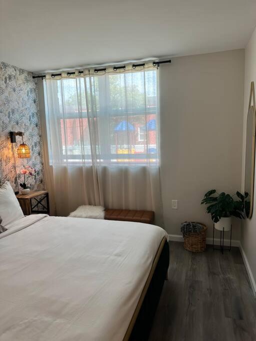 Home Haven, Walk To Little Italy & Wooster Square New Haven Eksteriør bilde